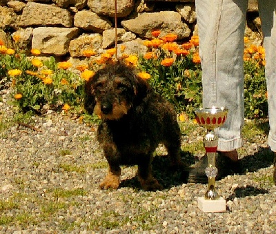 de menerbes von der arthémis - SP/K 1er Prix pour Garance!